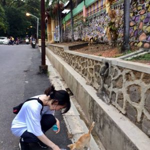 GREAT – LMTV Star Paws Stray Cat Project